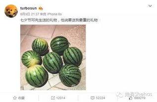 网红热瓜,揭秘网络红人的崛起与争议