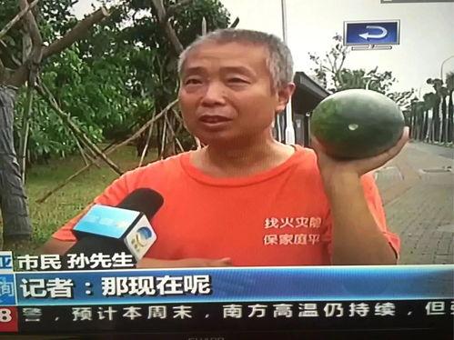 网曝热门事件劲爆视频在线观看 吃瓜网,热门事件幕后真相，吃瓜网带你一探究竟